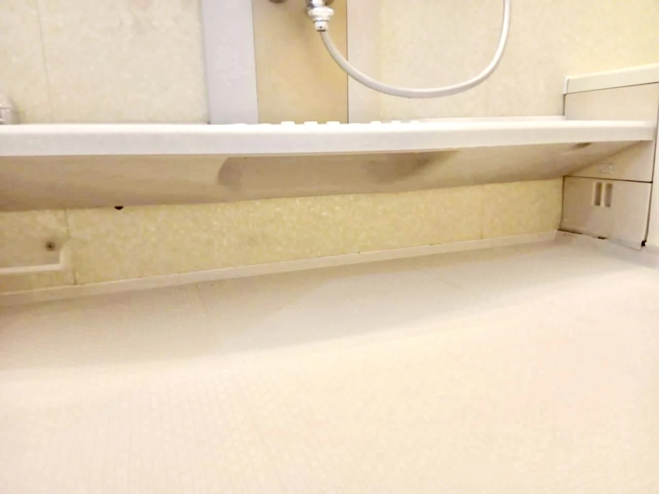 浴室クリーニングの様子