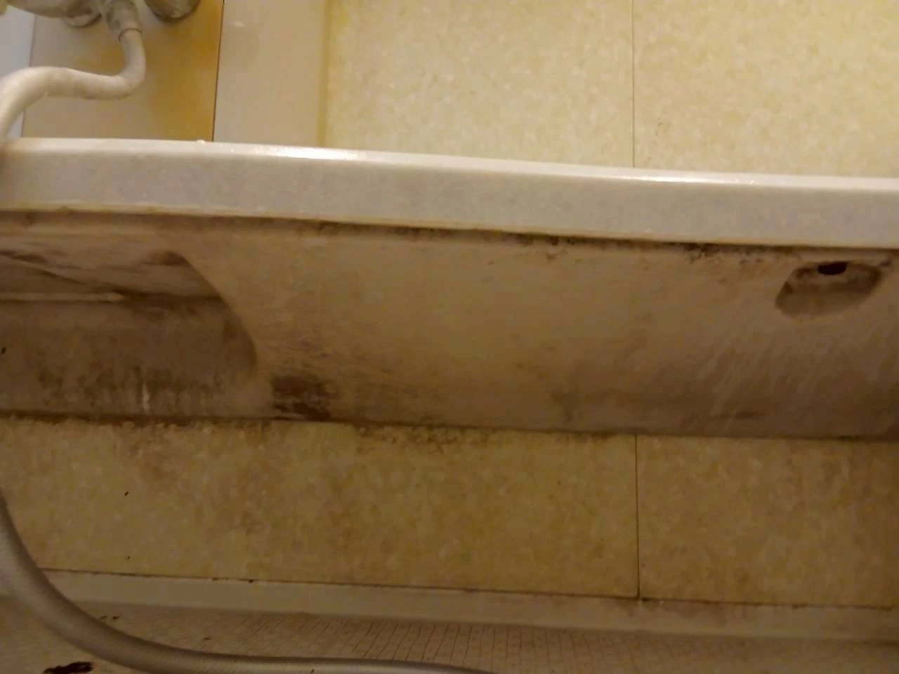 浴室クリーニングの様子